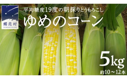 【羽生田売店】ゆめのコーン