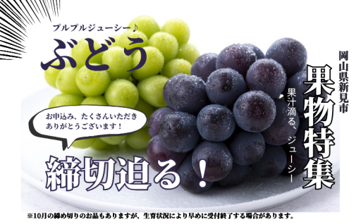 今年発送の「新見市のぶどう」 締め切りが迫っています！！