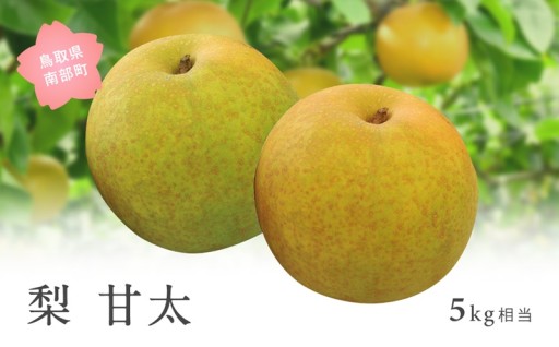 【締切間近！】甘くて後味爽やかな「甘太」です！