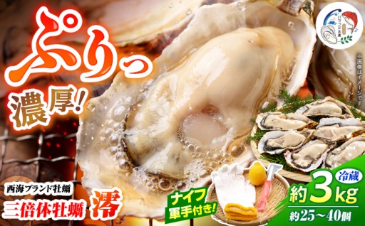 数量限定!！3倍体の濃厚ぷりぷり牡蠣「澪」