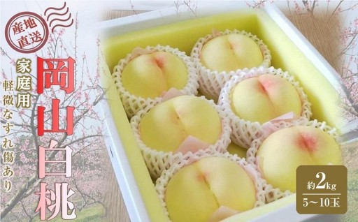 桃 2027年 ご家庭用 岡山 白桃 約2kg（5～10玉）🍑