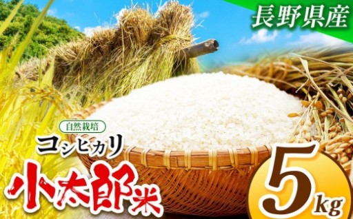 自然栽培コシヒカリ小太郎米（精米出荷）5Kg