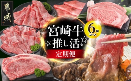都城市より～【6回定期便】宮崎牛☆推し活☆