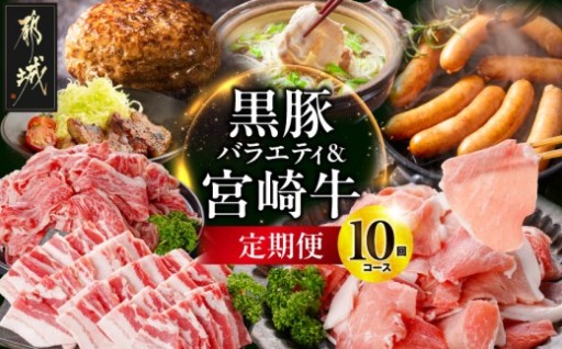 都城市より～【10回定期便】選んで損なし!黒豚バラエティ&宮崎牛定期便
