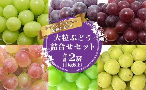 🍇シャインマスカットと人気のぶどうセット🍇