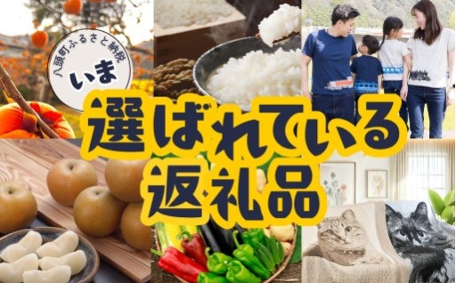 【必見】今、選ばれている人気返礼品をチェック！