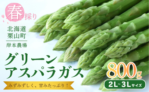 来春の極太アスパラ、先行予約受付中！🌱