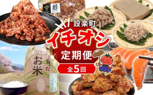 《全5回 定期便》 設楽町 イチオシ★定期便