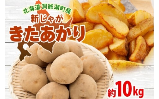 【お届け：2026年10月初旬より順次出荷】じゃがいも	