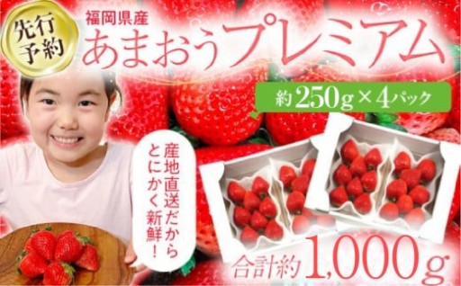 農家直送！認定農家がつくる『あまおう』