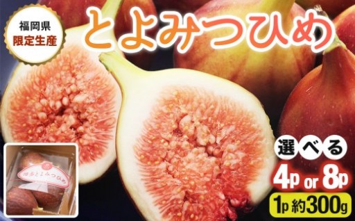 福岡限定生産のいちじく『とよみつひめ』