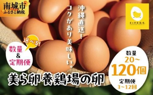 卵の黄身が掴めるほどの新鮮さ！『美ら卵』