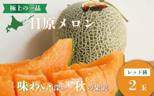 秋の旬！秋のメロン🍈🍁