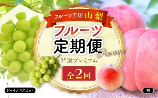 【2027年（令和9年）発送】プレミアムフルーツ定期便
