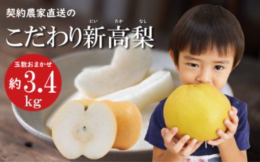 梨の王様！旬の新高梨 約3.4kg