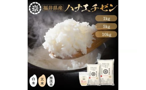 【新米】令和８年産 福井県のブランド米『ハナエチゼン』
