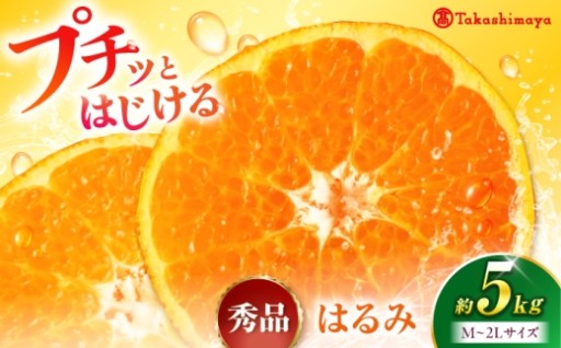柔らかな果肉と甘みが特徴！はるみ 約5kg