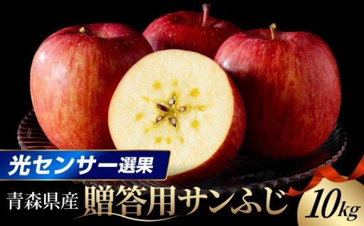 ✨🍎【選べる配送時期】 【贈答用】 りんご 約10kg サンふじ 糖度13度以上 青森県産 《特選～特秀》🍎✨