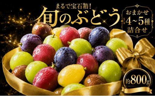 ぶどう 4~5種 プレミアムミックス 約800g