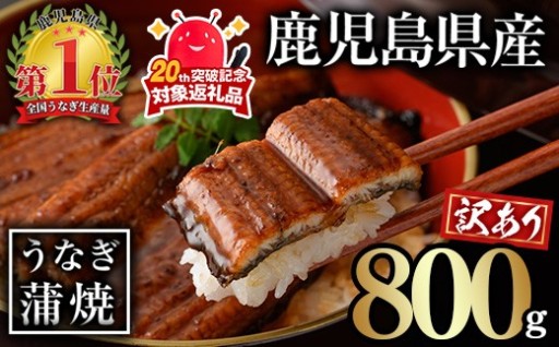 鹿児島県産うなぎ蒲焼(計800g・尾数不定)