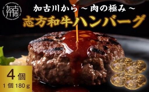 加古川～肉の極み～志方和牛ハンバーグ