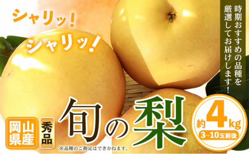 🍐岡山の旬を味わう！みずみずしい梨 約4kg【秀品】