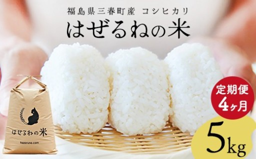 【令和7年産／4か月定期便】コシヒカリ 5kg