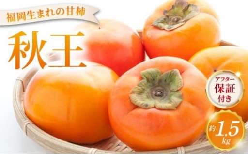 革命的！種がほとんどない『秋王』
