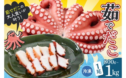 冷凍 茹でだこ 1尾 (約800g～1kg)🐙