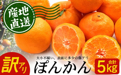 【訳あり】ぽんかん 約5kg