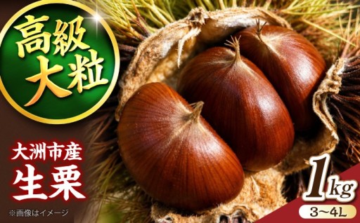 【先行予約】高級 生栗（ 1kg ）