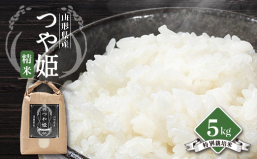 先行予約　令和8年産　山形県川西町産　つや姫　精米5kg【1462395】