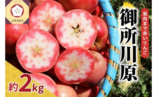 テレビで取り上げられました😍！【チョイス限定】 中まで赤～いりんご🍎