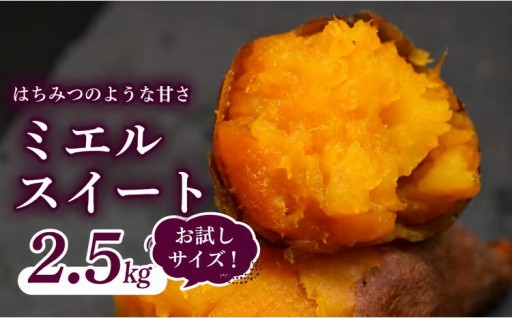 【先行予約】ミエルスイート 2.5キロ