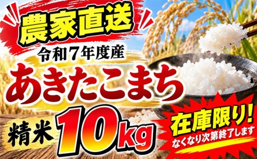 数量限定 300個！在庫がなくなり次第終了です！