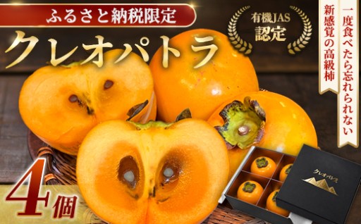 ✨【ふるさと納税限定】 柿 クレオパトラ 4個 オーガニック甘柿✨