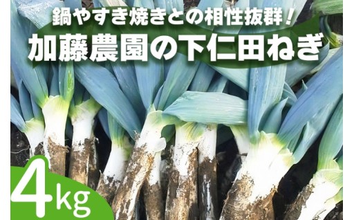 【新着返礼品】[先行予約] 産地直送！加藤農園の下仁田ねぎ 約4kg 　今年度の受付を開始しました