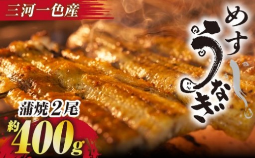 ✨手焼き 三河一色産 めすうなぎ 蒲焼2尾✨(約400g)