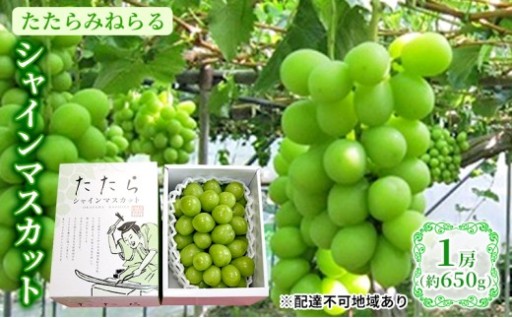岡山県産 たたらみねらる シャインマスカット 1房(約650g)