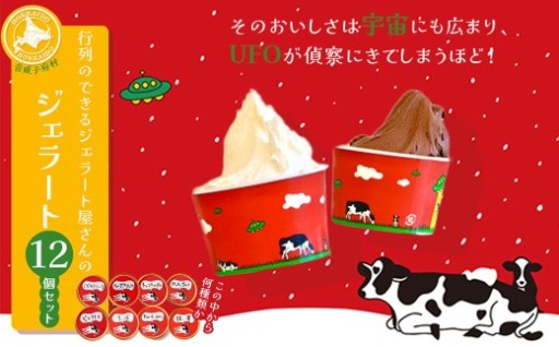 行列のできるジェラート屋さんのジェラート 12個