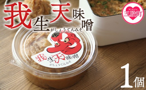 9/30受付終了＜我生天味噌 1個＞300g