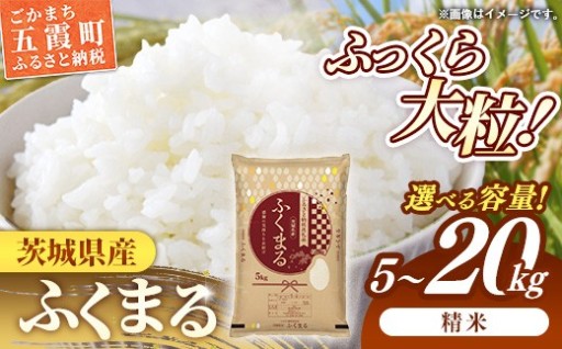 【✨新米先行予約✨】 令和8年産 茨城県産 ふくまる 5kg 10kg 15kg 20kg