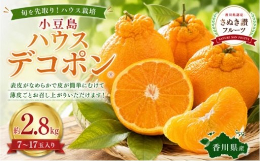 先行予約受付中！小豆島デコポン約2.8kg