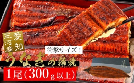 ✨規格外サイズ！✨とても大きな三河産うなぎ 蒲焼1尾（300g以上）