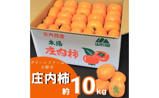 グリーンファーム小野寺の庄内柿1箱約10kg
