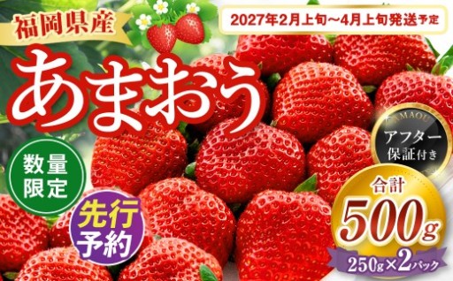 【数量限定】 福岡県産 あまおう 計500g 250g×2パック