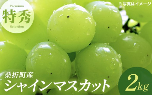 先行予約／ぶどう（シャインマスカット）特秀2kg