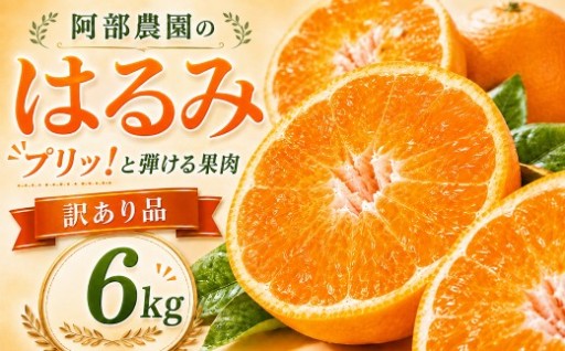 【2027年先行予約】【訳あり品】はるみ約6kg