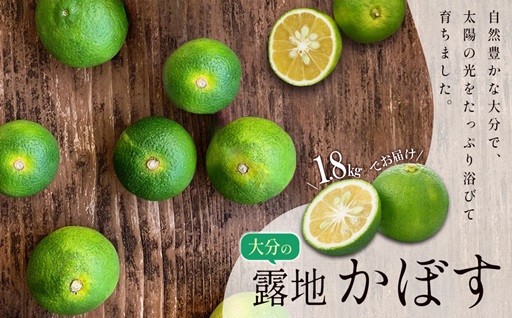 受付終了 間近！！露地かぼす 約1.8kg