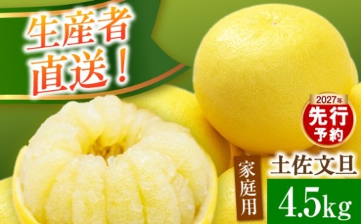 大玉たっぷり4.5kg！ご家庭用土佐文旦